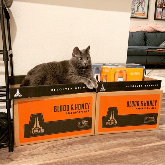 Meet your Posher, Sara - Picture 2 of 3